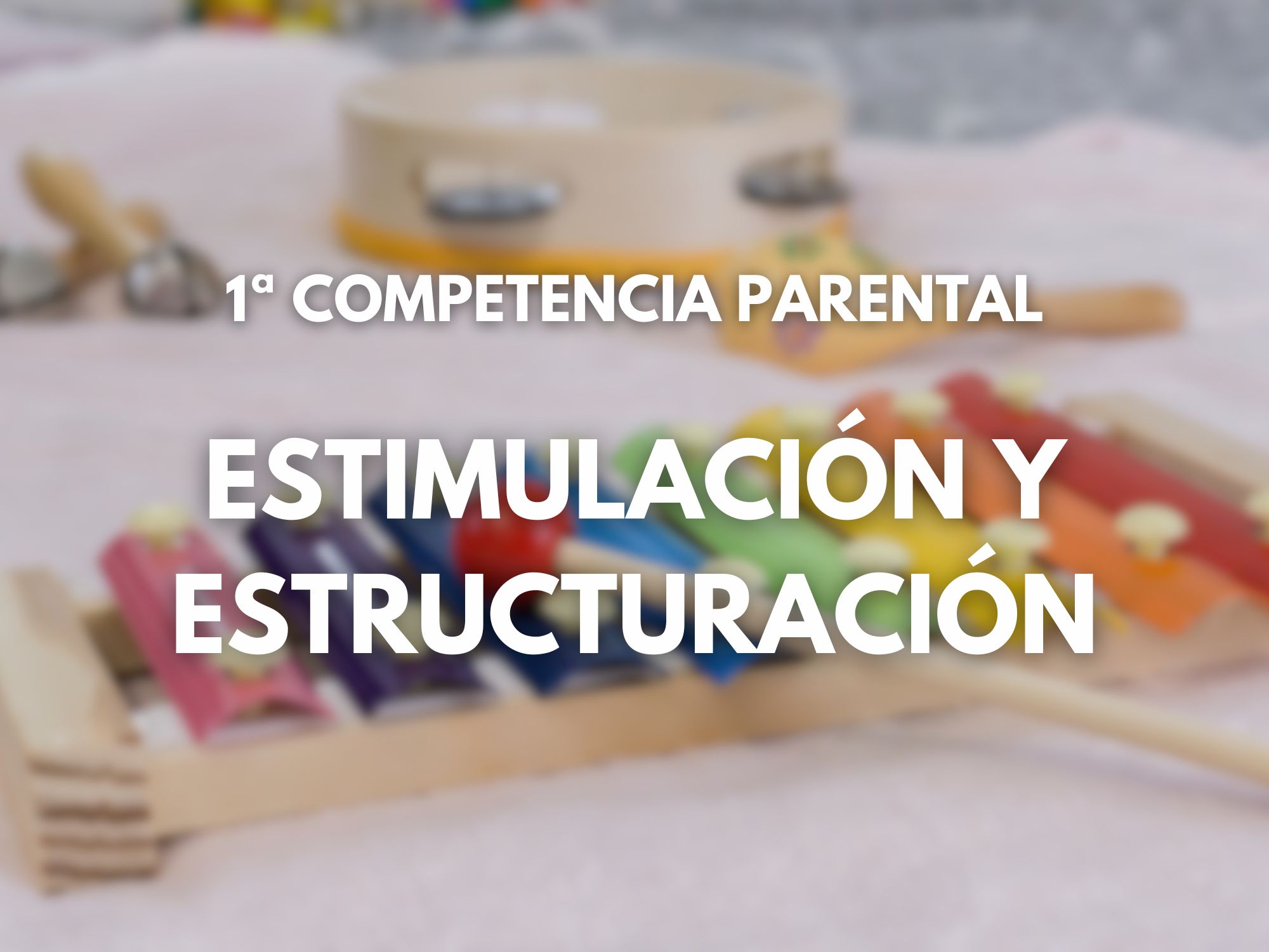Imagen destacada del artículo '1ª COMPETENCIA PARENTAL: ESTIMULACIÓN Y ESTRUCTURACIÓN'