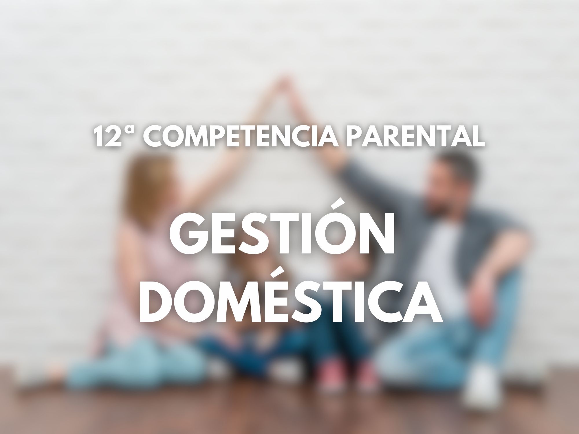 Imagen destacada del artículo '12ª GESTIÓN DOMÉSTICA'